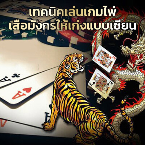 เทคนิค เกมไพ่เสือมังกร